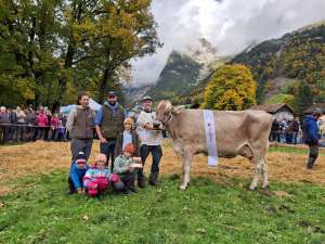 tagessiegerin halma 