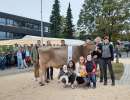 miss horw hergiswil  lennox luna  von studhalter beat fondlenhoehe horw