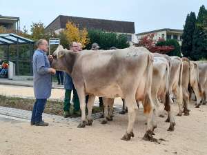 schoeneuter juengere big mama von studhalter beat fondlenhoehe horw