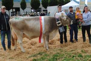 miss arth kuessnacht lennox lena stefan haecki immensee