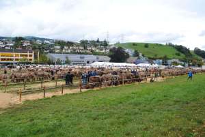 schauplatz kuessnacht