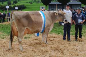 schoeneuter aeltere jasper justa armin suter kuessnacht am rigi