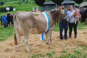 schoeneuter juengere emerson emma stefan haecki immensee