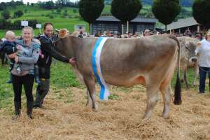 schoeneuter mittlere arrow arvi silvan betschart immensee