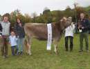rindermiss bs zrotz brice amara von beat zrotz  hergiswil nw ch.1689.9837.6