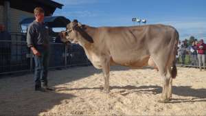 juniorchampion simbaboy galizia kuenzli samuel