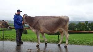 schoeneutersiegerin.l.