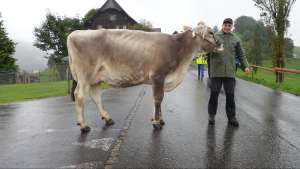 schoeneutersiegerin altere