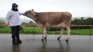 schoeneutersiegerin mittlere