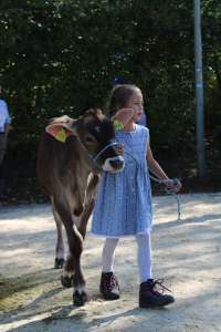 whatsapp image023 105 at 14.03.14  