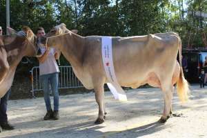 whatsapp image 2023 10 25 at 14.03.14  