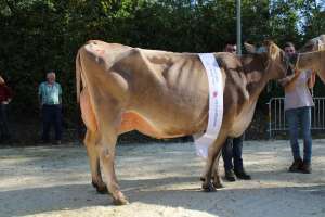 whatsapp image 2023 10 25 at 14.03.14  