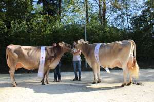 whatsapp image 2023 10 25 at 14.03.14  