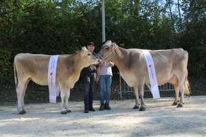 whatsapp image 2023 10 25 at 14.03.15  