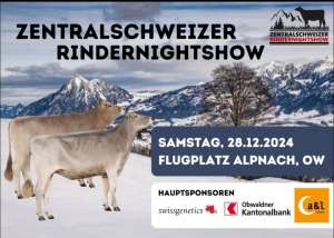 screenshot 20241213 instagram