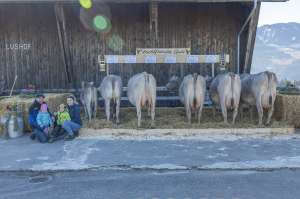 70 gala ch 120.1123.5756.3 zihlmann philipp schuepfheim lu hsu