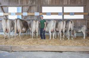 73 blanka ch.1335.5311.1 stalder michael lu hsu