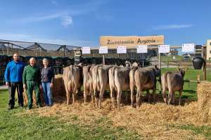 75 argonia ch 120.1387.5670.8 zemp hanspeter buchrain lu awa