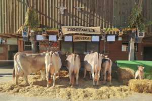 80 arnika ch 120.1233.9797.8 von ah peter rohrbach lu hstr