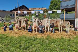 82 nelli ch 120.1168.9654.9 zurfluh thomas 913050 richenthal lu hstr  