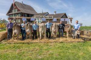 84 terza ch.1210.2722.8 gutsbetrieb bbzn hohenrain lu hsu