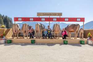 92 sara ch 120.1210.8729.1 studer pirmin schuepfheim lu hsu