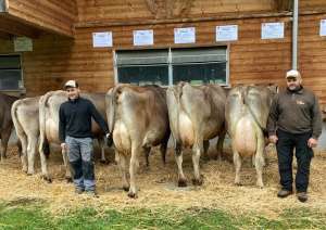 zf arrow amilia infanger josef engelberg