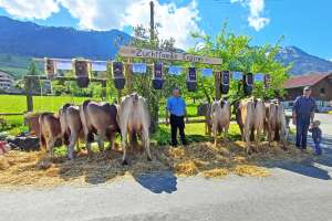 zf eipet enzian rohrer martin sachseln