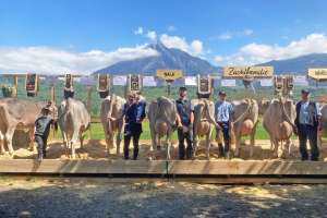 zf nelgor nala epp christoph alpnach dorf