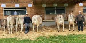 zf salomon salome infanger josef engelberg