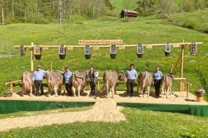 80 edelweiss ob ch 120.1089.2193.8 kempf anton 77077 isenthal ur stk