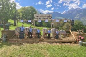 82 lausanne ob ch 120.1273.8274.1 gisler portmann simon schattdorf ur stk