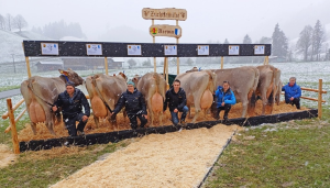 acevio acevia  stalder thomas  p.