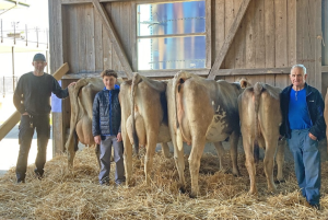 anibal angora  stalder michael  p.