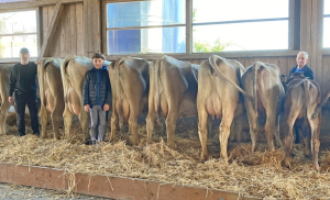 astro asmara  stalder michael p.