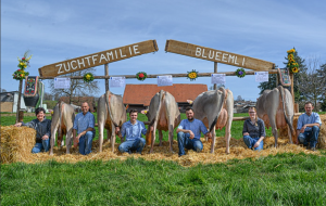 blooming blueemli  sticher andre  p.