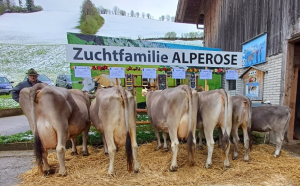 genox boy alperose  zemp franz  p.