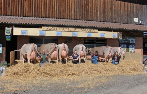 gian andora  banz fredyp