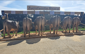 rico ricola  mueller anton  p.