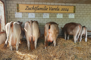 velix varela  waser raphael  p.