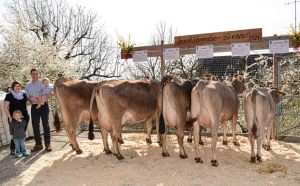 winner et wera  abt benno  p.