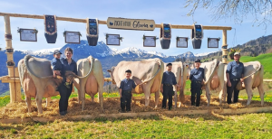 silverstar gloria  halter peter  p.