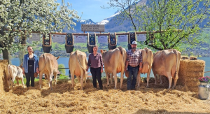 vivid valerie  kunz epp sepp p.