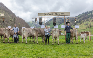 vurio roxy  spichtig michi  p.