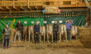 wendel kamilla  michel rueegg sepp  p.