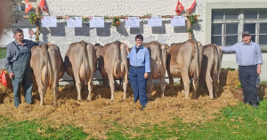 william salfa  schleiss hurschler thomas  p.