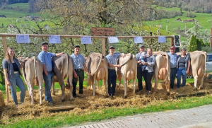 zoltan alma 1  albert huwyler markus  p.