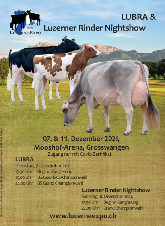 lucerne expo