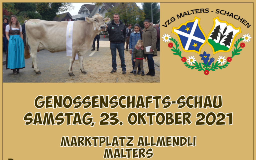 Viehschau VZG Malters-Schachen 23.10.2021