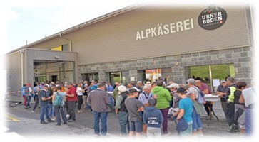 Braunvieh bi de Lüüt Urnerboden